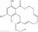 Fig. 174 - Macrocyclic compounds useful as inhibitors of kinases and HSP90