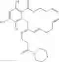 Fig. 178 - Macrocyclic compounds useful as inhibitors of kinases and HSP90