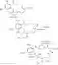 Fig. 192 - Macrocyclic compounds useful as inhibitors of kinases and HSP90