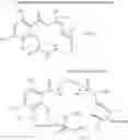 Fig. 207 - Macrocyclic compounds useful as inhibitors of kinases and HSP90