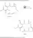 Fig. 212 - Macrocyclic compounds useful as inhibitors of kinases and HSP90