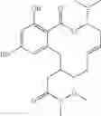Fig. 239 - Macrocyclic compounds useful as inhibitors of kinases and HSP90
