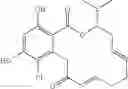 Fig. 240 - Macrocyclic compounds useful as inhibitors of kinases and HSP90