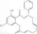 Fig. 241 - Macrocyclic compounds useful as inhibitors of kinases and HSP90