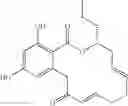 Fig. 242 - Macrocyclic compounds useful as inhibitors of kinases and HSP90