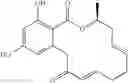 Fig. 243 - Macrocyclic compounds useful as inhibitors of kinases and HSP90