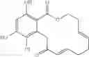 Fig. 244 - Macrocyclic compounds useful as inhibitors of kinases and HSP90