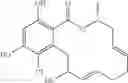 Fig. 246 - Macrocyclic compounds useful as inhibitors of kinases and HSP90