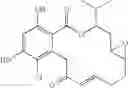 Fig. 256 - Macrocyclic compounds useful as inhibitors of kinases and HSP90