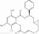 Fig. 257 - Macrocyclic compounds useful as inhibitors of kinases and HSP90