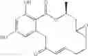 Fig. 259 - Macrocyclic compounds useful as inhibitors of kinases and HSP90
