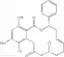 Fig. 261 - Macrocyclic compounds useful as inhibitors of kinases and HSP90