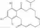 Fig. 27 - Macrocyclic compounds useful as inhibitors of kinases and HSP90