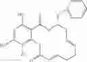 Fig. 28 - Macrocyclic compounds useful as inhibitors of kinases and HSP90