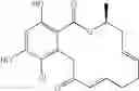 Fig. 29 - Macrocyclic compounds useful as inhibitors of kinases and HSP90
