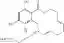 Fig. 294 - Macrocyclic compounds useful as inhibitors of kinases and HSP90