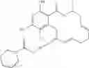 Fig. 295 - Macrocyclic compounds useful as inhibitors of kinases and HSP90