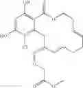 Fig. 299 - Macrocyclic compounds useful as inhibitors of kinases and HSP90