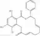 Fig. 30 - Macrocyclic compounds useful as inhibitors of kinases and HSP90