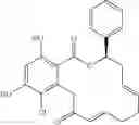 Fig. 31 - Macrocyclic compounds useful as inhibitors of kinases and HSP90