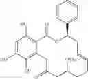 Fig. 32 - Macrocyclic compounds useful as inhibitors of kinases and HSP90