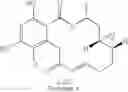 Fig. 323 - Macrocyclic compounds useful as inhibitors of kinases and HSP90