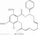 Fig. 325 - Macrocyclic compounds useful as inhibitors of kinases and HSP90