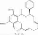 Fig. 326 - Macrocyclic compounds useful as inhibitors of kinases and HSP90