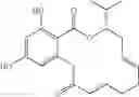 Fig. 33 - Macrocyclic compounds useful as inhibitors of kinases and HSP90
