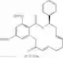 Fig. 331 - Macrocyclic compounds useful as inhibitors of kinases and HSP90