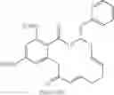 Fig. 334 - Macrocyclic compounds useful as inhibitors of kinases and HSP90