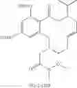 Fig. 339 - Macrocyclic compounds useful as inhibitors of kinases and HSP90