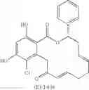 Fig. 347 - Macrocyclic compounds useful as inhibitors of kinases and HSP90