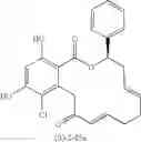 Fig. 348 - Macrocyclic compounds useful as inhibitors of kinases and HSP90