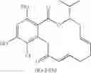Fig. 349 - Macrocyclic compounds useful as inhibitors of kinases and HSP90
