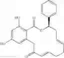 Fig. 35 - Macrocyclic compounds useful as inhibitors of kinases and HSP90