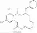 Fig. 356 - Macrocyclic compounds useful as inhibitors of kinases and HSP90