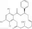 Fig. 362 - Macrocyclic compounds useful as inhibitors of kinases and HSP90