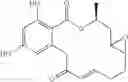 Fig. 371 - Macrocyclic compounds useful as inhibitors of kinases and HSP90