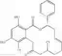 Fig. 378 - Macrocyclic compounds useful as inhibitors of kinases and HSP90