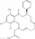 Fig. 379 - Macrocyclic compounds useful as inhibitors of kinases and HSP90