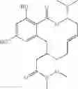 Fig. 42 - Macrocyclic compounds useful as inhibitors of kinases and HSP90