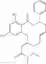 Fig. 43 - Macrocyclic compounds useful as inhibitors of kinases and HSP90