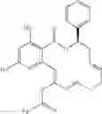 Fig. 45 - Macrocyclic compounds useful as inhibitors of kinases and HSP90
