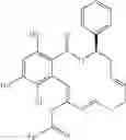 Fig. 46 - Macrocyclic compounds useful as inhibitors of kinases and HSP90