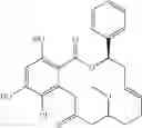 Fig. 48 - Macrocyclic compounds useful as inhibitors of kinases and HSP90