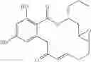 Fig. 59 - Macrocyclic compounds useful as inhibitors of kinases and HSP90
