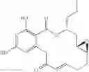 Fig. 72 - Macrocyclic compounds useful as inhibitors of kinases and HSP90