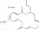 Fig. 90 - Macrocyclic compounds useful as inhibitors of kinases and HSP90