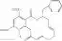 Fig. 91 - Macrocyclic compounds useful as inhibitors of kinases and HSP90